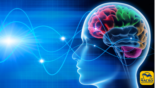 CLICCA SULLA COPERTINA PER VIDEO